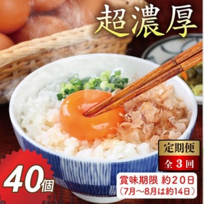 【毎月定期便】越前赤玉子40個(36個+卵割れ補償4個)全3回