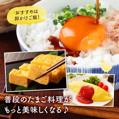 【毎月定期便】越前赤玉子40個(36個+卵割れ補償4個)全3回