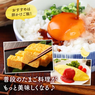 【毎月定期便】越前赤玉子40個(36個+卵割れ補償4個)全6回