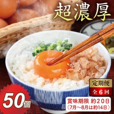 【毎月定期便】越前赤玉子50個(45個+卵割れ補償5個)全6回