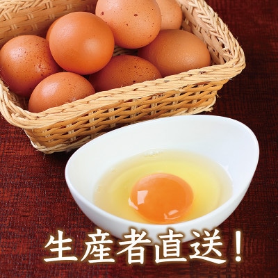 【毎月定期便】越前赤玉子50個(45個+卵割れ補償5個)全6回