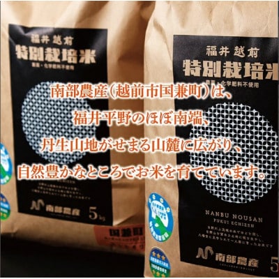 令和7年度 特別栽培米 コシヒカリ　10kg