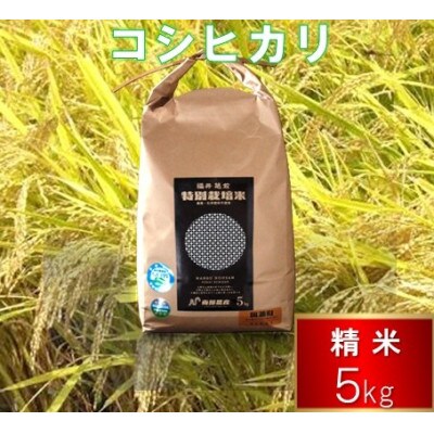 令和7年度 特別栽培米 コシヒカリ　5kg