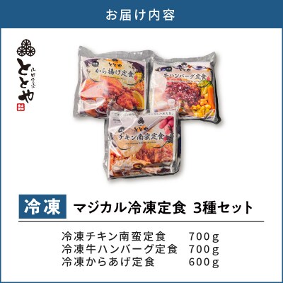 マジカル冷凍定食　3種セット　K258-001