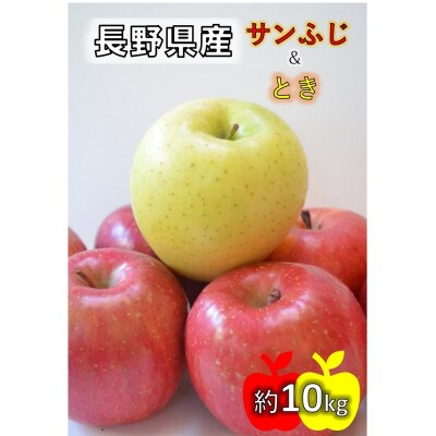 2023年11月より順次発送予定先行受付【贈答用】信州・塩尻市洗馬の大玉りんご サンふじ&とき