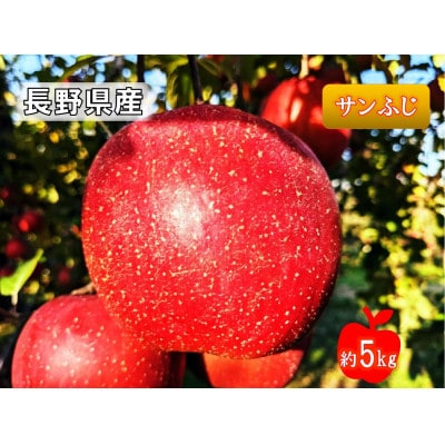 2024年11月上旬より順次発送予定先行受付【家庭用】サンふじ約5kg