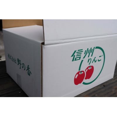 2024年発送　先行受付　【訳あり】　園主のおまかせりんご　約5kg
