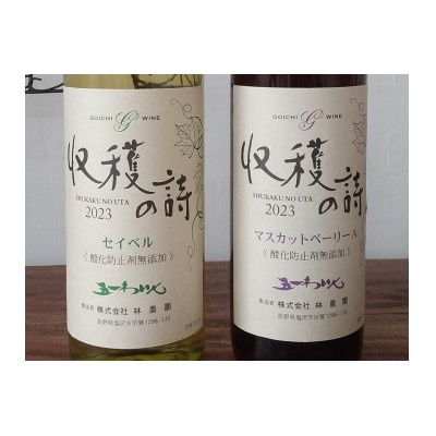 五一ワイン 新酒 マスカットベリーA&セイベル 2本セット