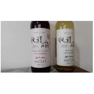 五一ワイン ヌーボー マスカットベリーA&セイベル 2本セット 720ml×各1本