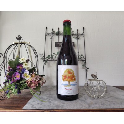 ヴォータノワイン醸造　TAMAI wine ピノノワール(樽熟)
