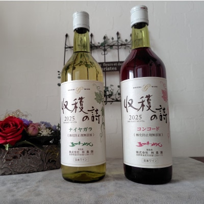 五一わいん ヌーボー コンコード&ナイヤガラ 2本セット 720ml×各1本