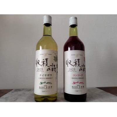 五一わいん ヌーボー コンコード&ナイヤガラ 2本セット 720ml×各1本