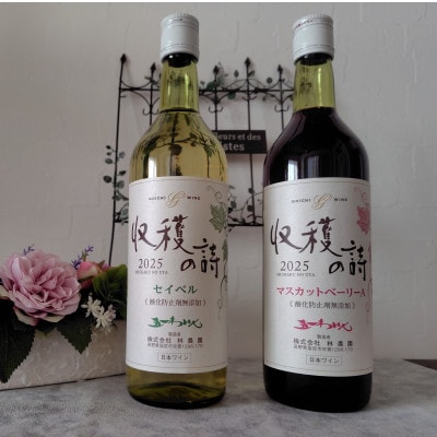 五一ワイン ヌーボー マスカットベリーA&セイベル 2本セット 720ml×各1本