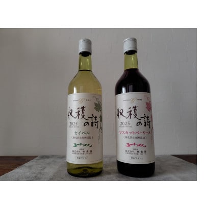 五一ワイン ヌーボー マスカットベリーA&セイベル 2本セット 720ml×各1本