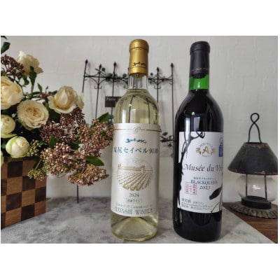 当店の2025年出荷量No.1　五一塩尻セイベル9110&アルプスMdVブラッククイーン計2本セット