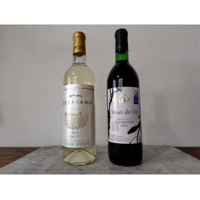 当店の2025年出荷量No.1　五一塩尻セイベル9110&アルプスMdVブラッククイーン計2本セット