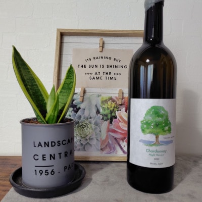 ヴォータノワイン醸造　TAMAI wineシャルドネ2025 750ml