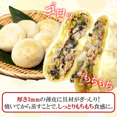 【無地熨斗】水城漬物工房「うす皮信州おやき」6種 10個 詰め合わせ  長野県 塩尻市