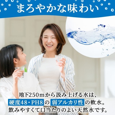 ラベルレスでエコなミネラルウォーター「信州たのめの里の水」2Lペットボトル×24本【複数個口で配送】