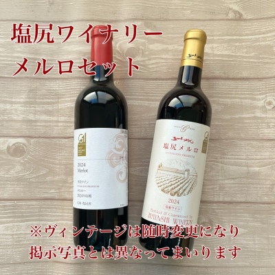 メルロ 2本セット( 五一わいん 井筒ワイン )