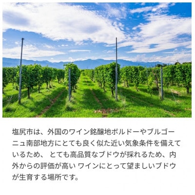 井筒ワイン シラー[樽熟]720ml