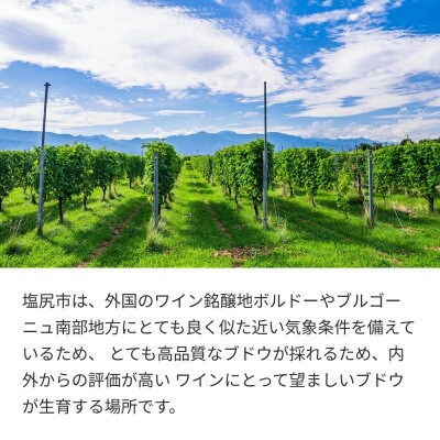 サントリー 塩尻メルロ&マスカット・ベーリーA 和のつむぎ　750ml