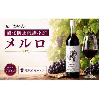 五一わいん 酸化防止剤無添加 メルロ　720ml×1本