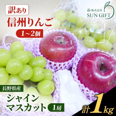 長野県産★訳ありシャインマスカットと訳あり信州りんごのセット　計1kg