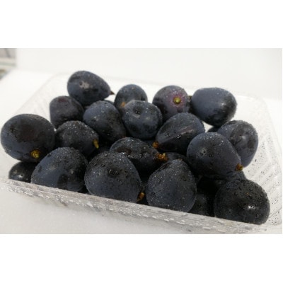 【長野県産・訳あり品】ナガノパープル(粒パック)500g