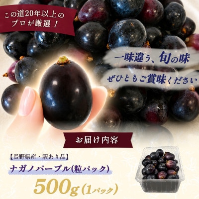 【長野県産・訳あり品】ナガノパープル(粒パック)500g