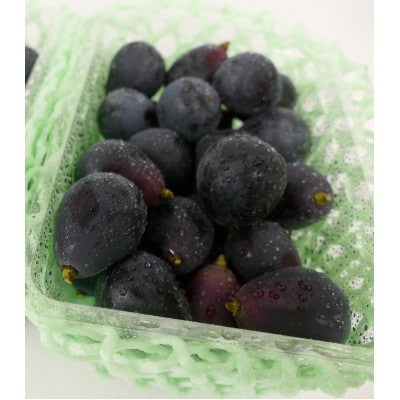 【長野県産・訳あり品】ナガノパープル(粒パック)500g