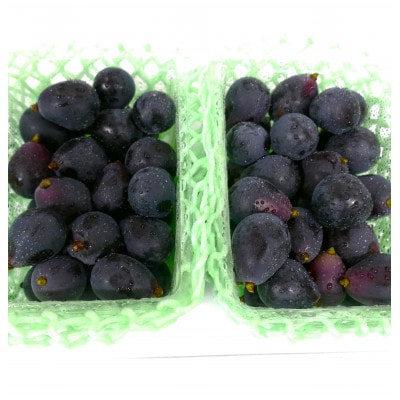 【長野県産・訳あり品】ナガノパープル(粒パック)1kg