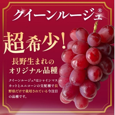 贈答用 信州塩尻市産葡萄【詰合せ3房】【シャインマスカット、ナガノパープル、クイーンルージュ(R)】