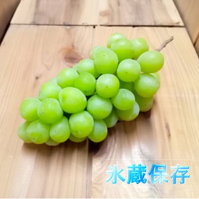 【氷蔵保存】シャインマスカット　1房