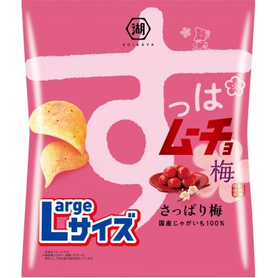 湖池屋のLサイズ　すっぱムーチョ　さっぱり梅　122g×12袋