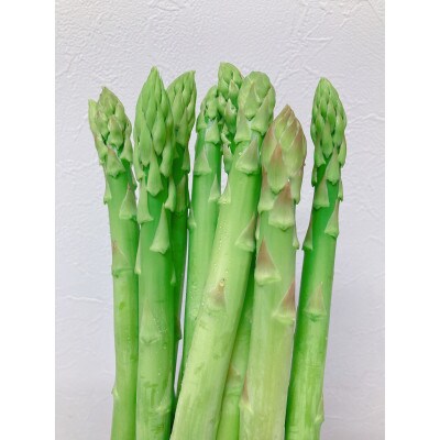朝採れアスパラガス1kg