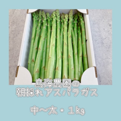 朝採れアスパラガス1kg