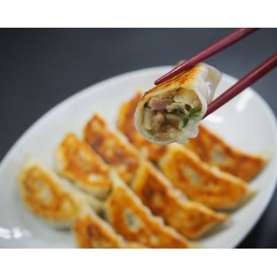 「冠生園」の冷凍野菜餃子100個(10個入×10p)