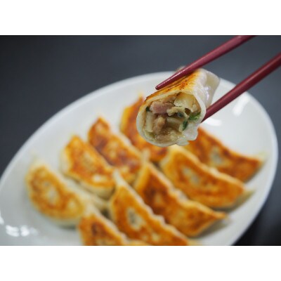 「冠生園」の食べ比べ餃子セット(冷凍　肉・野菜餃子)100個(10個入×各5パック)
