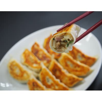 肉汁溢れる冷凍肉餃子40個(10個入×4p)