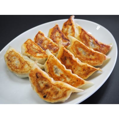 肉汁溢れる冷凍肉餃子40個(10個入×4p)