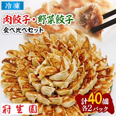 肉汁溢れる食べ比べ餃子セット(冷凍　肉・野菜餃子)40個(10個入×各2パック)
