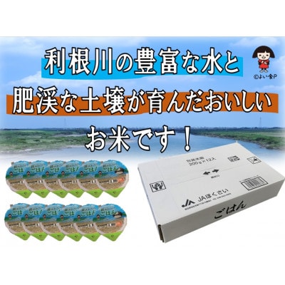 JAほくさいオリジナル　パックごはん12パック