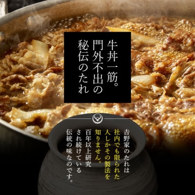 【毎月定期便】吉野家牛丼の具20食セット全3回
