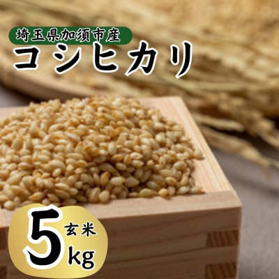 【先行受付】令和8年産　水野農園のコシヒカリ　玄米5kg(5kg×1袋)