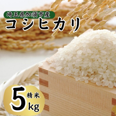 【先行受付】令和8年産　水野農園のコシヒカリ　精米5kg(5kg×1袋)