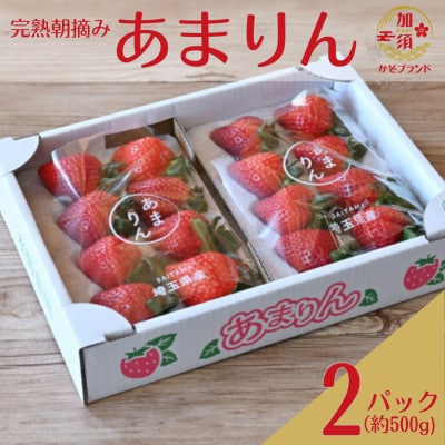 「埼玉農業大賞特別賞」を受賞! 完熟朝摘み苺 あまりん　250g×2パック