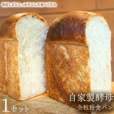 【酒粕酵母×湯種仕込み】 自家製酵母全粒粉食パン　 1セット