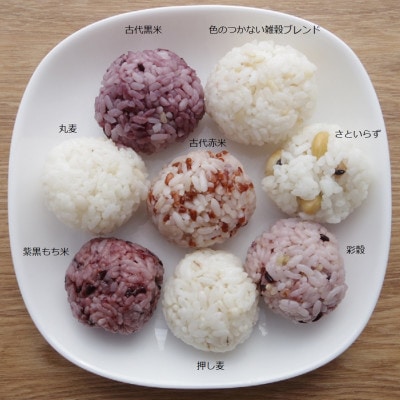 彩りごはん8種セット