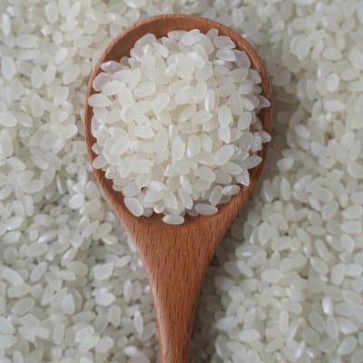 有機こしひかり白米450g×6袋(令和7年産)